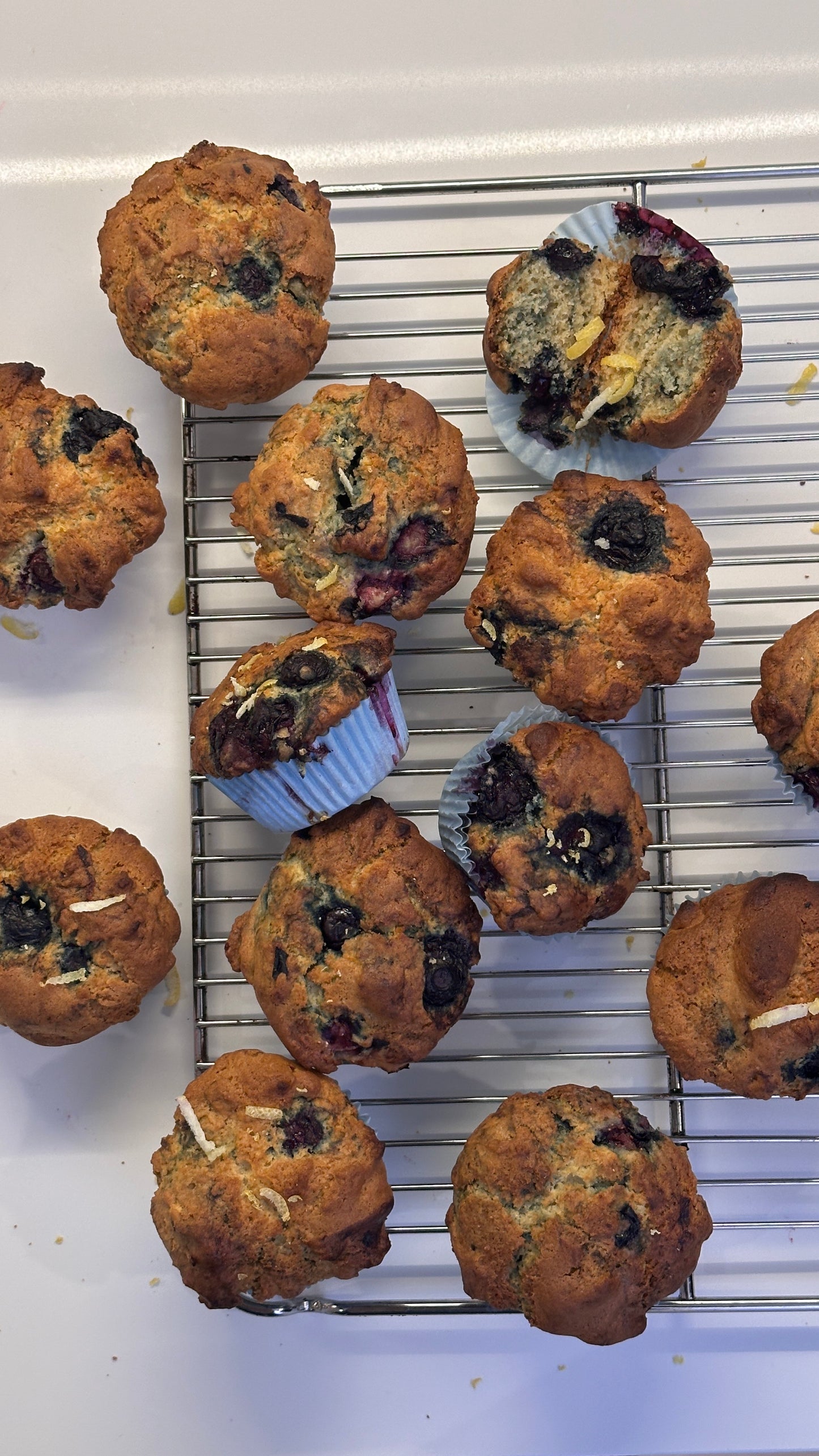 Early Light Muffin - Lemon + Blueberry (Box of 10)