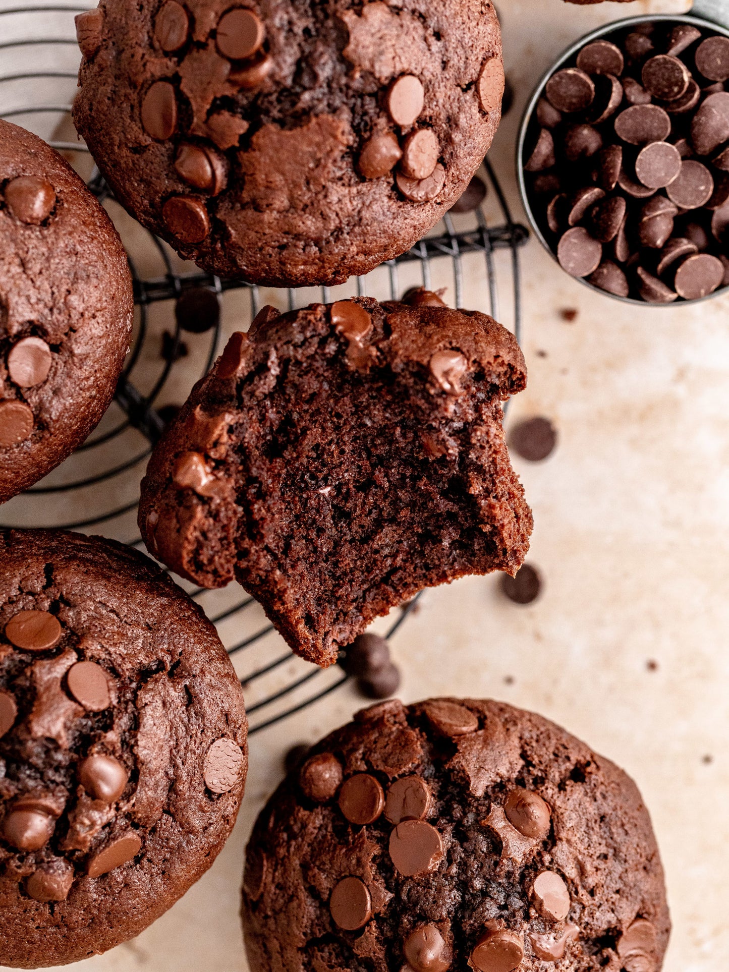Triple Chocolate Muffin (Box of 10)